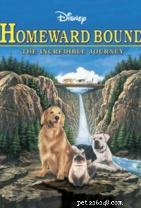 Top Pet-Centric Movies: Dogs, Cats, and More Drive the Story