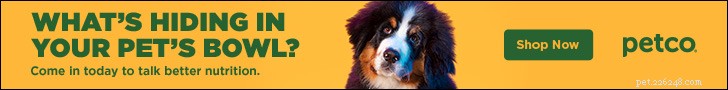 The Essential New Puppy Checklist: Everything You Need Before Arrival