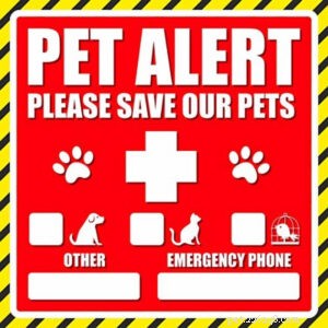 Pet Fire Safety: Protect Your Furry Friends from Household Fires