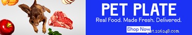From Physics to Pet Food: How Renaldo Webb Is Revolutionizing Canine Nutrition