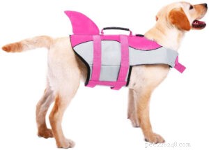 Top Dog Life Jackets: Safe, Reliable Vests for Your Canine Companion