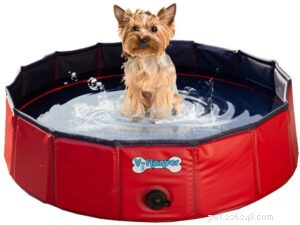 Top Amazon Dog Pools: Portable, Durable, & Easy to Set Up