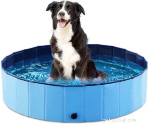 Top Amazon Dog Pools: Portable, Durable, & Easy to Set Up