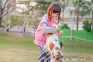 9 Common Training Mistakes Dog Owners Make (And How to Fix Them)