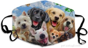5 Pet-Inspired Face Masks: Stylish Safety for Animal Lovers