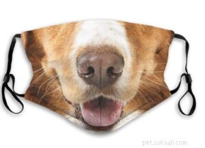 5 Pet-Inspired Face Masks: Stylish Safety for Animal Lovers