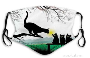 5 Pet-Inspired Face Masks: Stylish Safety for Animal Lovers