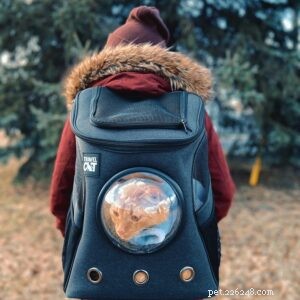 The Millennial Mind Behind the Cat Backpack Craze