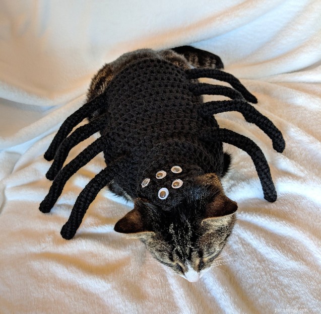 Adorable Cats Dressed for Halloween: Must‑See Costumes & Where to Buy