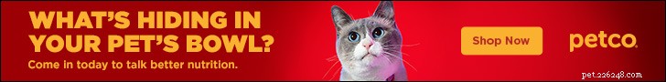 The Ultimate Guide to the 8 Best Children s Books About Cats