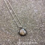 Cat Whiskers Turned to Jewelry: Jen Glick s Artistic Journey