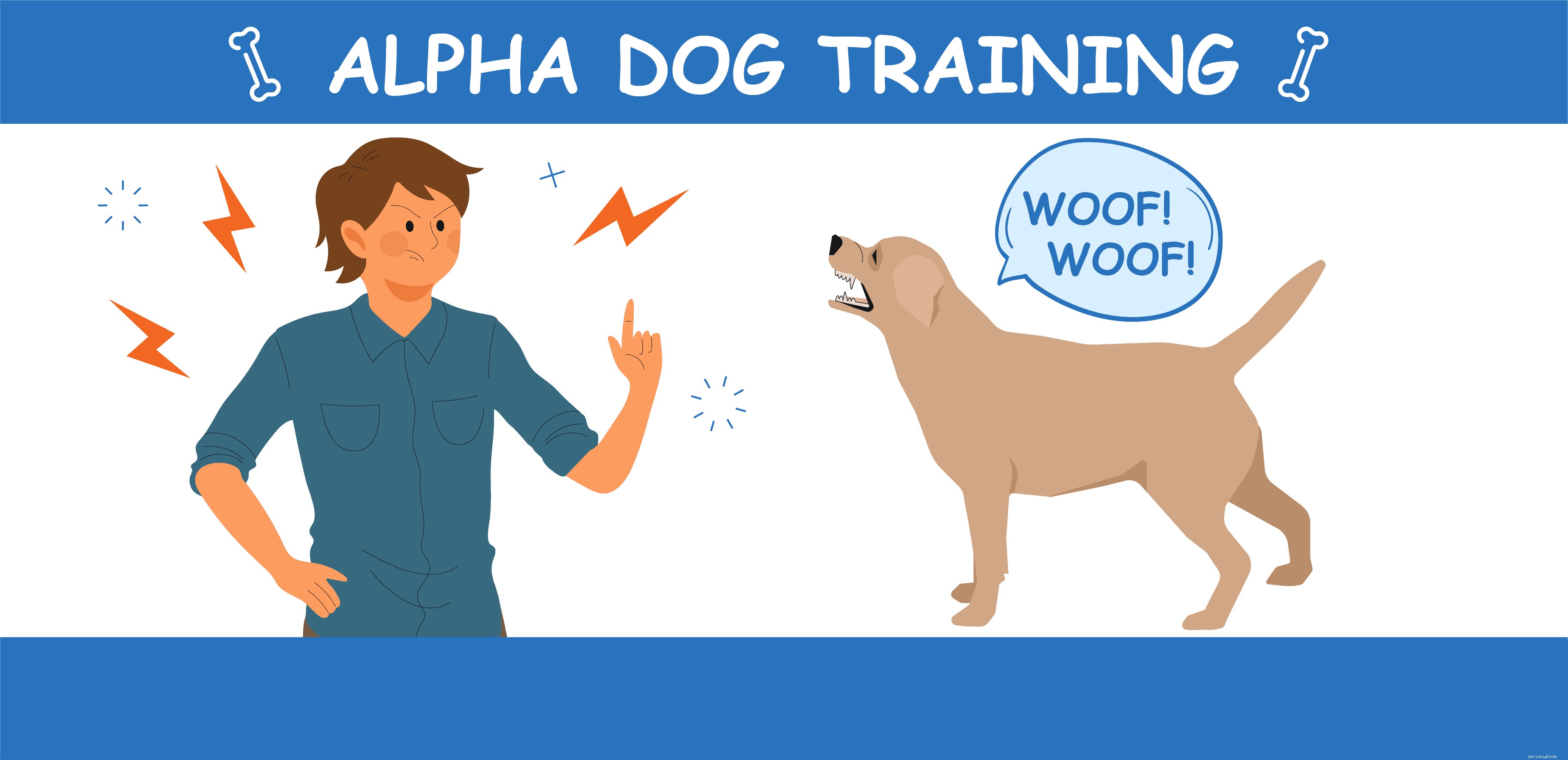 7 Expert-Backed Dog Training Techniques for Reliable Results