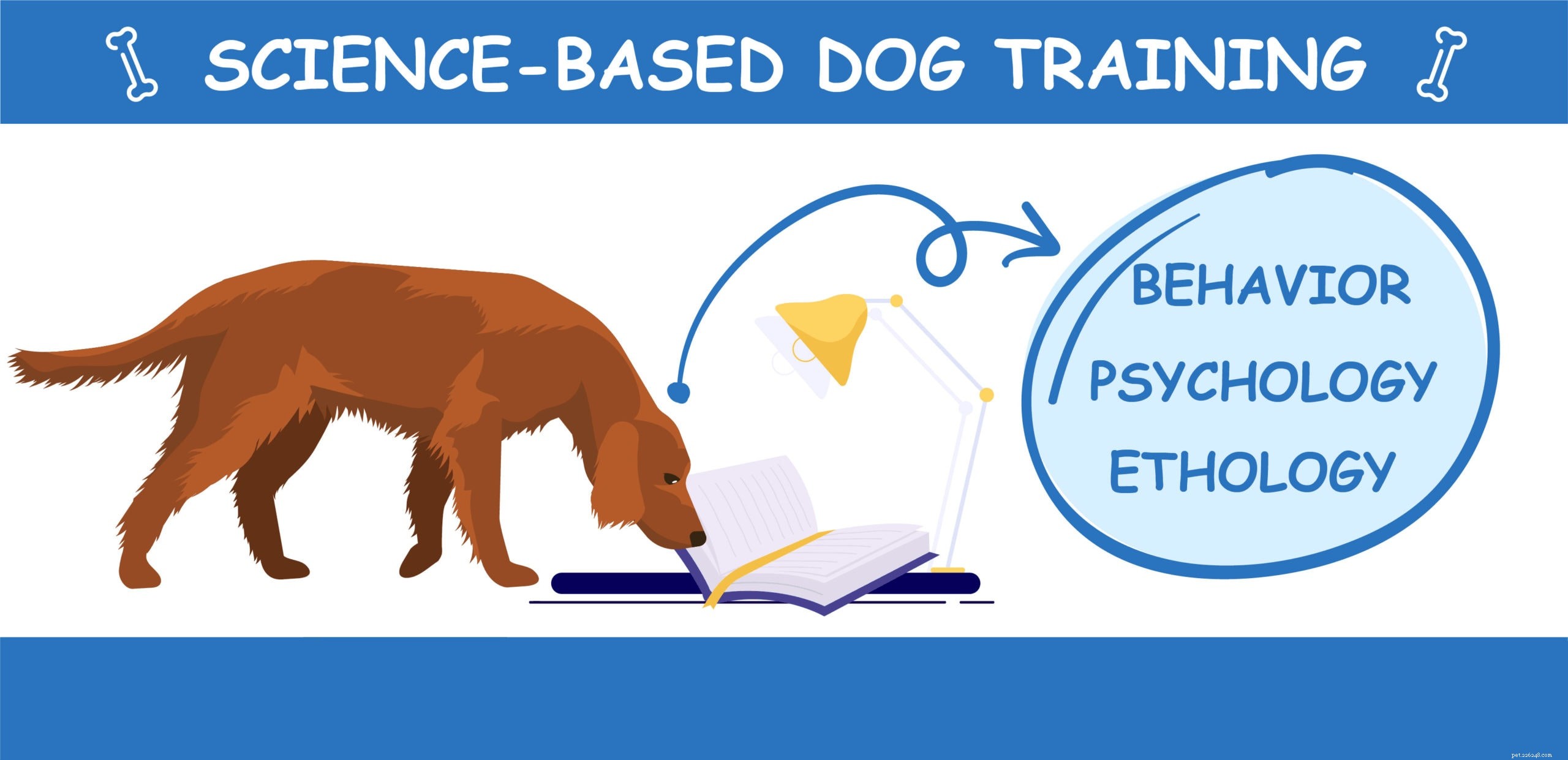 7 Expert-Backed Dog Training Techniques for Reliable Results