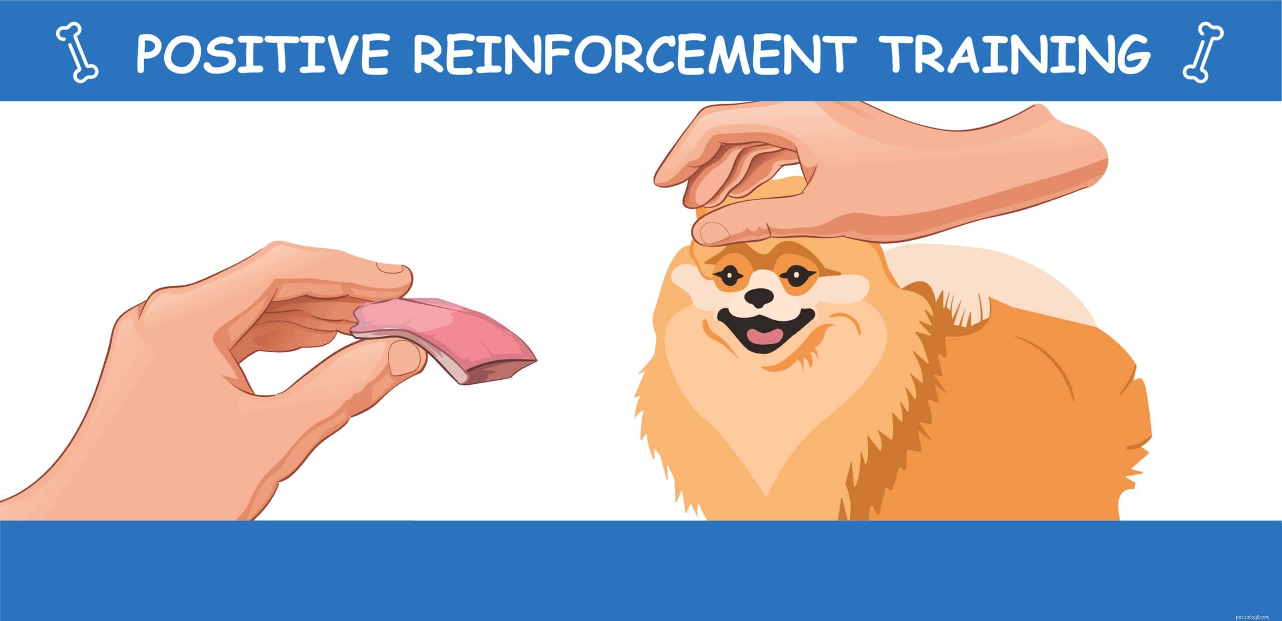 7 Expert-Backed Dog Training Techniques for Reliable Results