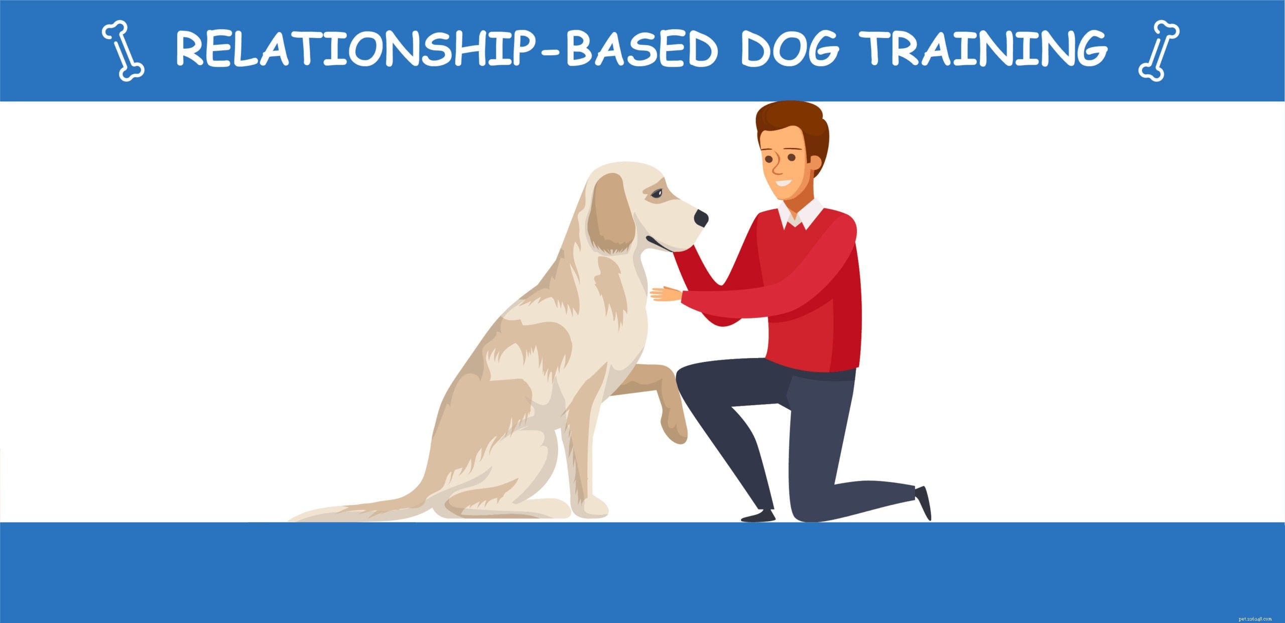 7 Expert-Backed Dog Training Techniques for Reliable Results