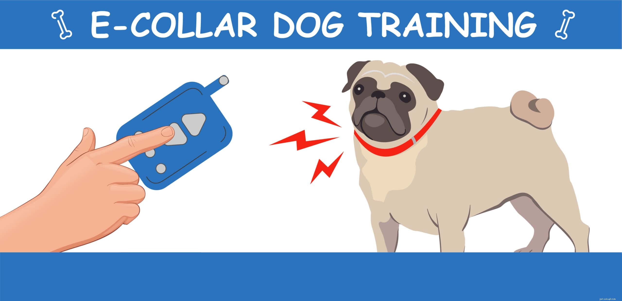 7 Expert-Backed Dog Training Techniques for Reliable Results