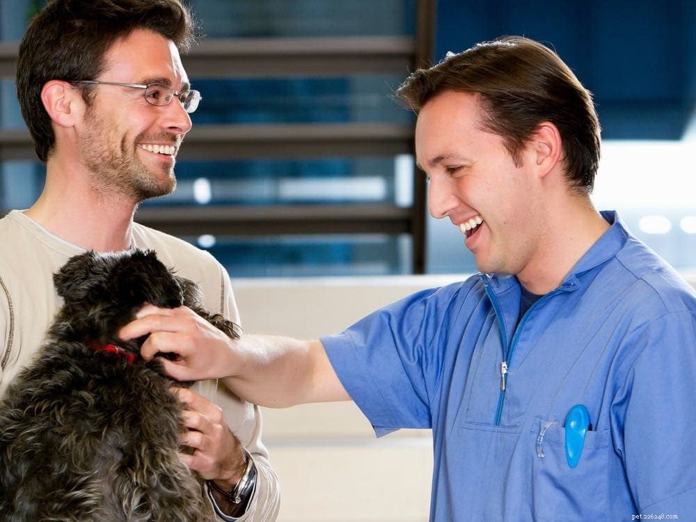 7 Expert-Backed Dog Training Techniques for Reliable Results
