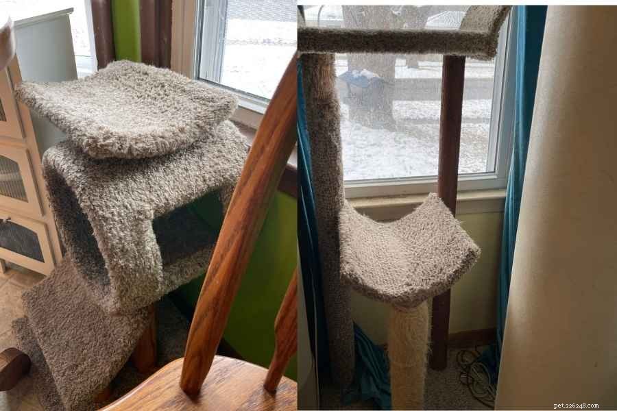 4 Must-Have Tools for Effortless Cat Hair Removal