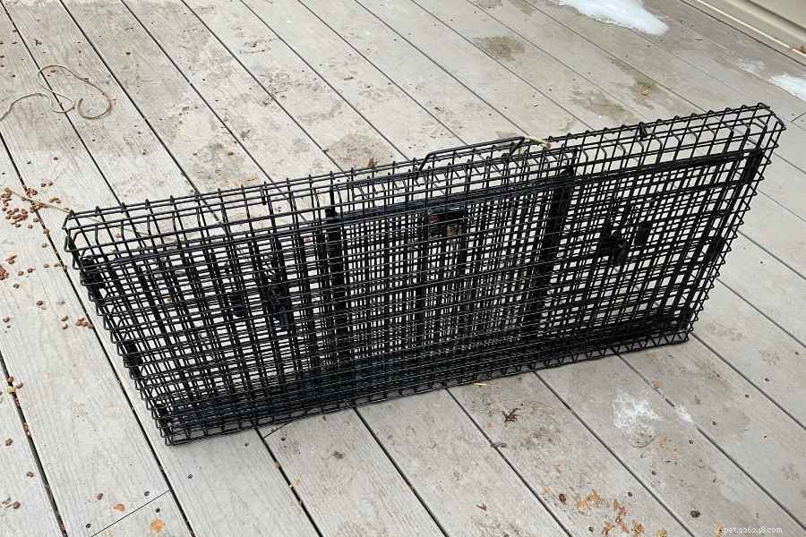 Effective Cat Drop Trap Techniques for Safe Capture