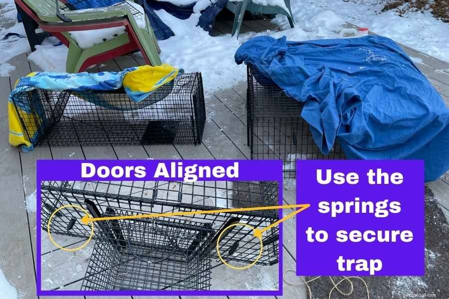 Effective Cat Drop Trap Techniques for Safe Capture