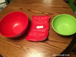 Keep Outdoor Cats Hydrated: Power‑Free Ways to Prevent Water from Freezing All Winter