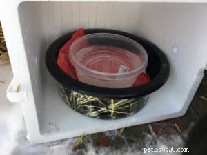 Keep Outdoor Cats Hydrated: Power‑Free Ways to Prevent Water from Freezing All Winter