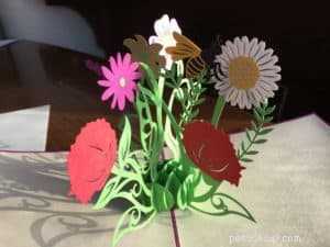 Elegant Pop‑Up Flower Card – A Safe, Stylish Gift for Cat Lovers