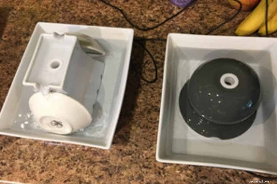 Quiet Cat Water Fountain 2022: Top Choice for Calming Hydration