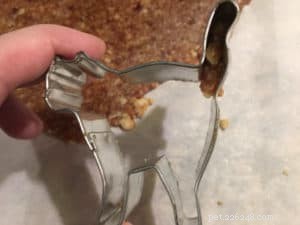 How to Make Cat‑Shaped Food in Minutes – Quick & Easy Guide