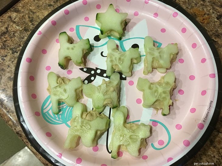 How to Make Cat‑Shaped Food in Minutes – Quick & Easy Guide