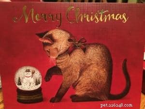 Top 10 Curated Boxed Cat Christmas Cards of 2021 – Handpicked & Reviewed