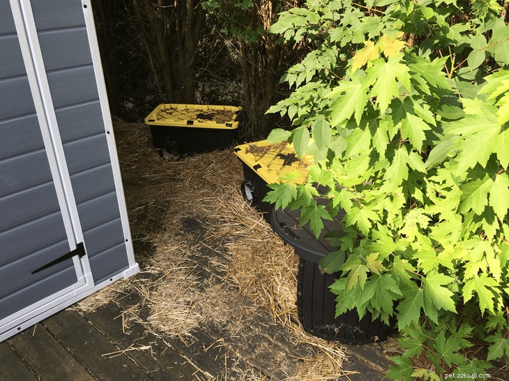How to Convert a Shed into a Winter‑Proof Outdoor Shelter for Multiple Cats