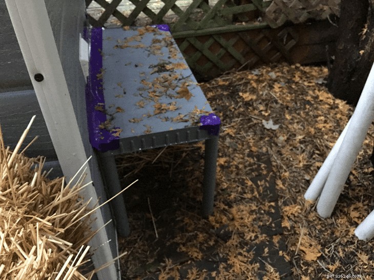 How to Convert a Shed into a Winter‑Proof Outdoor Shelter for Multiple Cats