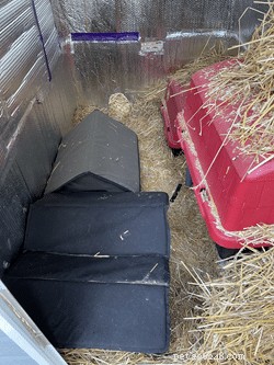 How to Convert a Shed into a Winter‑Proof Outdoor Shelter for Multiple Cats
