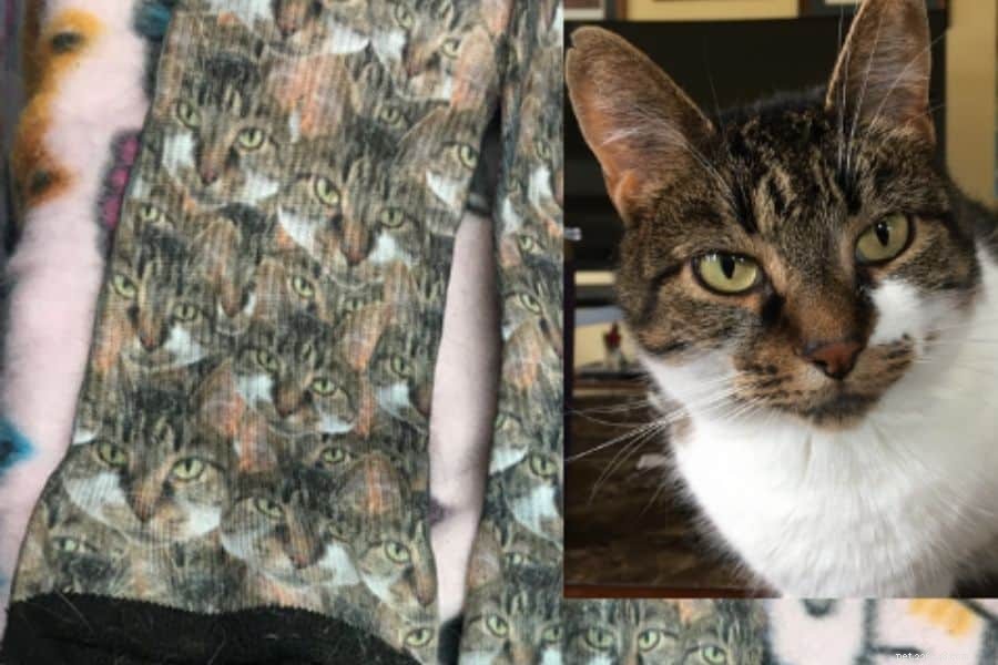 Printsfield Cat Socks Review – Custom, Comfortable, and Affordable – Includes Discount Code