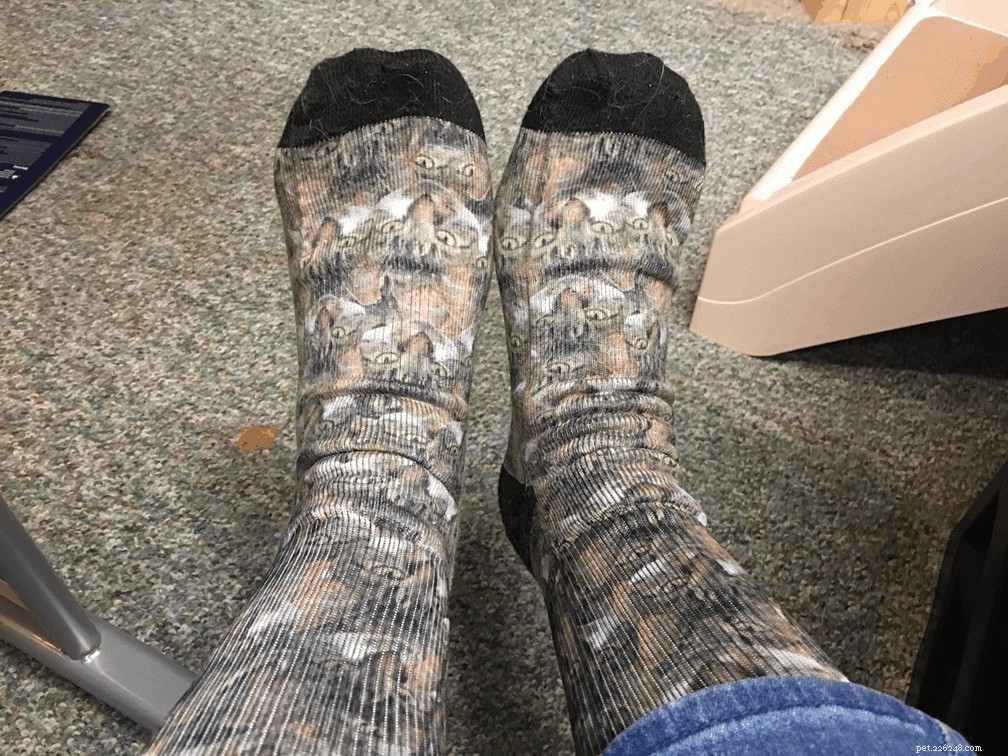 Printsfield Cat Socks Review – Custom, Comfortable, and Affordable – Includes Discount Code