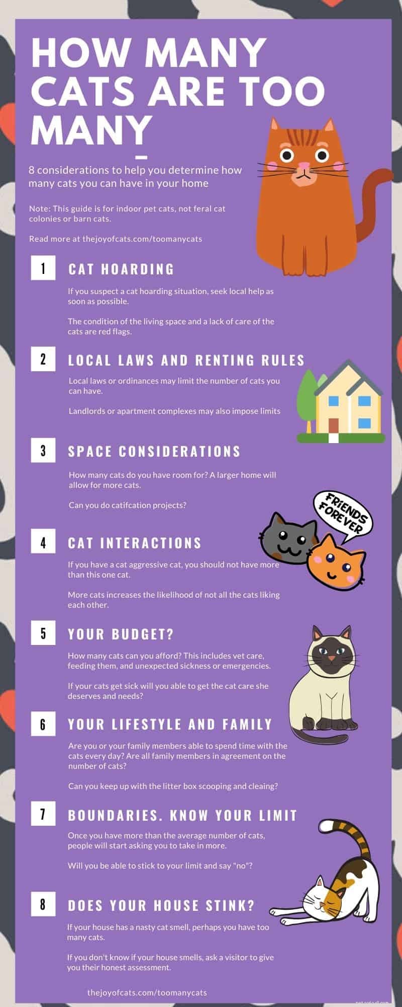 Finding the Right Number: How Many Cats Is Too Many in Your Home
