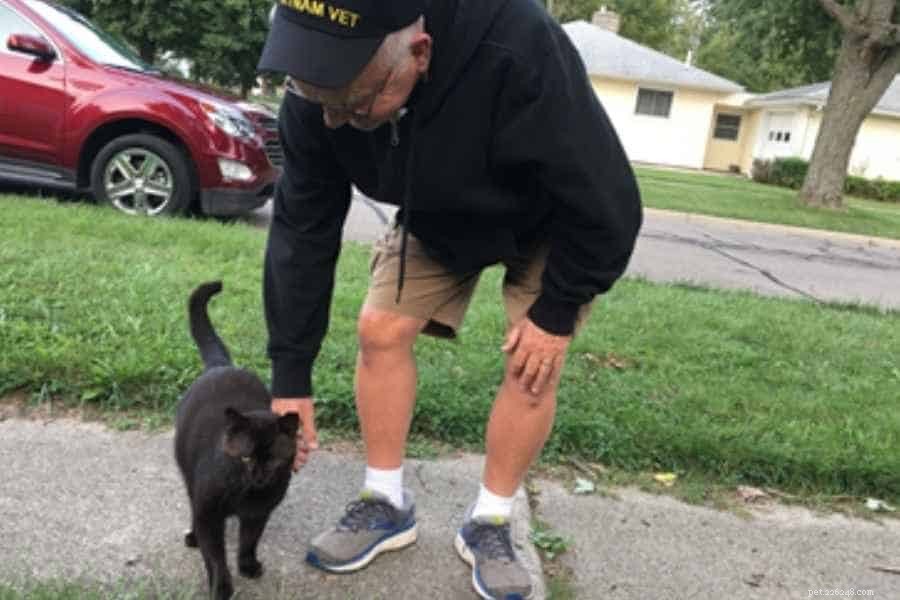 Monthly Cat Care Budget: How I Spend $518.53 on My Felines