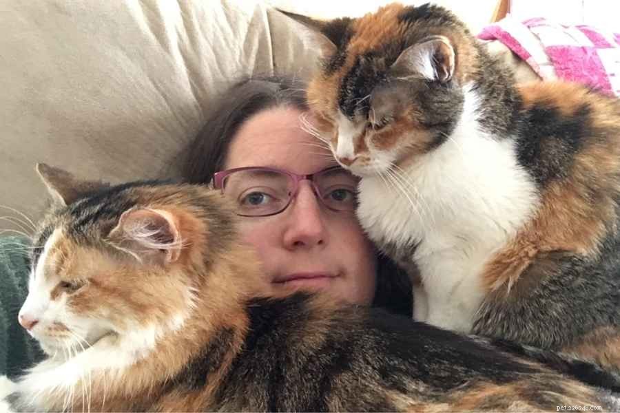Observing the Gentle Decline of My 17-Year-Old Cat