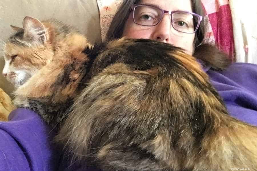 Observing the Gentle Decline of My 17-Year-Old Cat