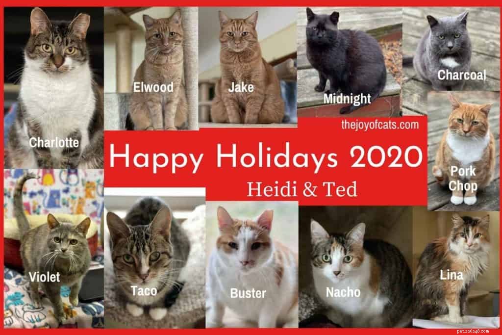 2020 Year-End Cat Letter: Highlights and Insights