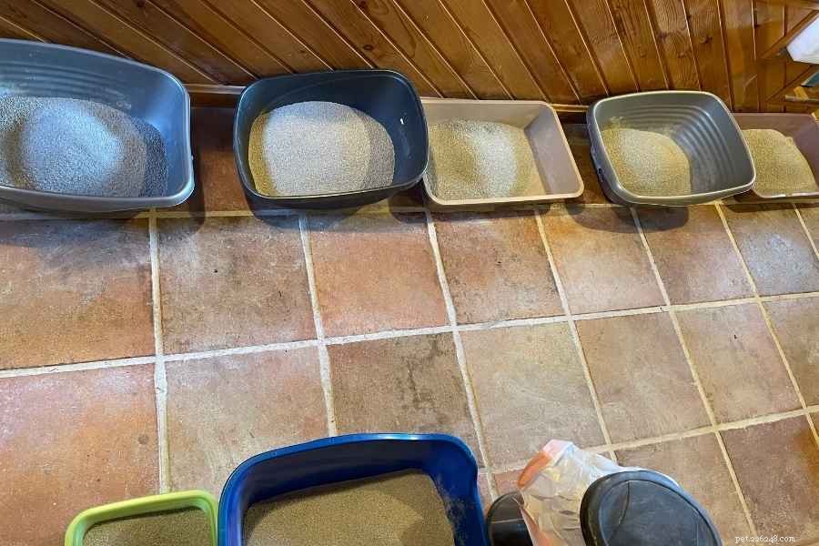 How to Resolve Common Cat Litter Box Issues: A Practical Guide