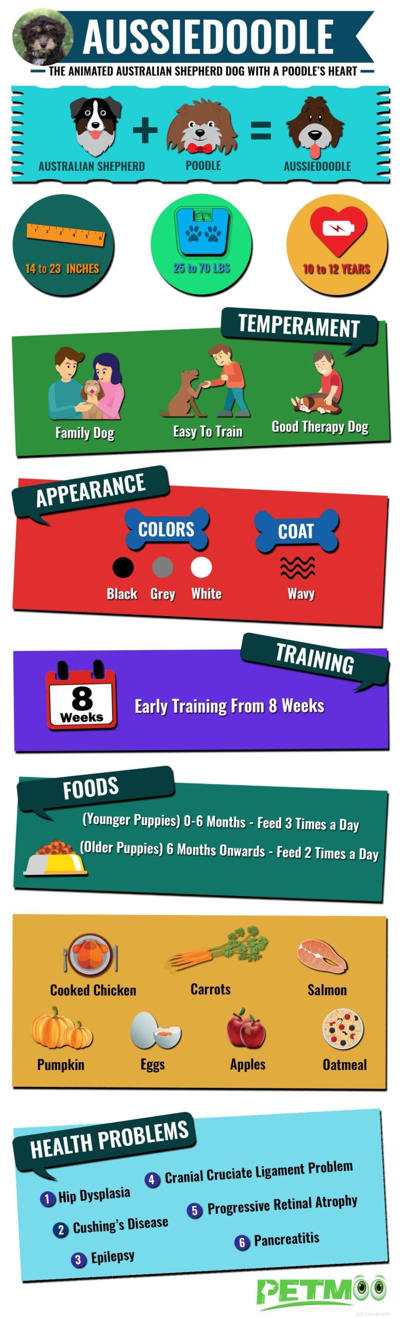 Aussiedoodle: Comprehensive Breed Guide, Traits & Care