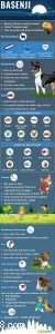 Basenji Dog Breed: Key Facts, Traits, and Care for the Bark‑Less Companion