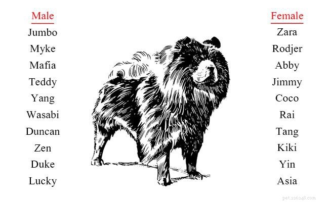 Chow Chow: Comprehensive Guide to the Noble Chinese Working Dog