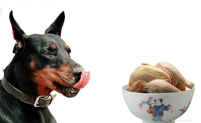 Doberman Pinscher: Expert Guide to Size, Temperament, and Care