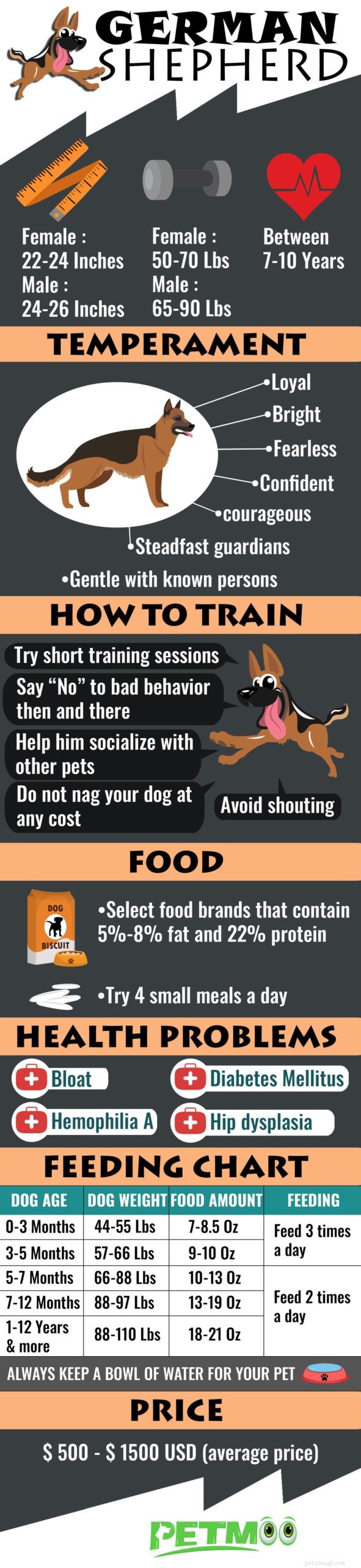 German Shepherd Dog: Comprehensive Breed Profile & Health Guide