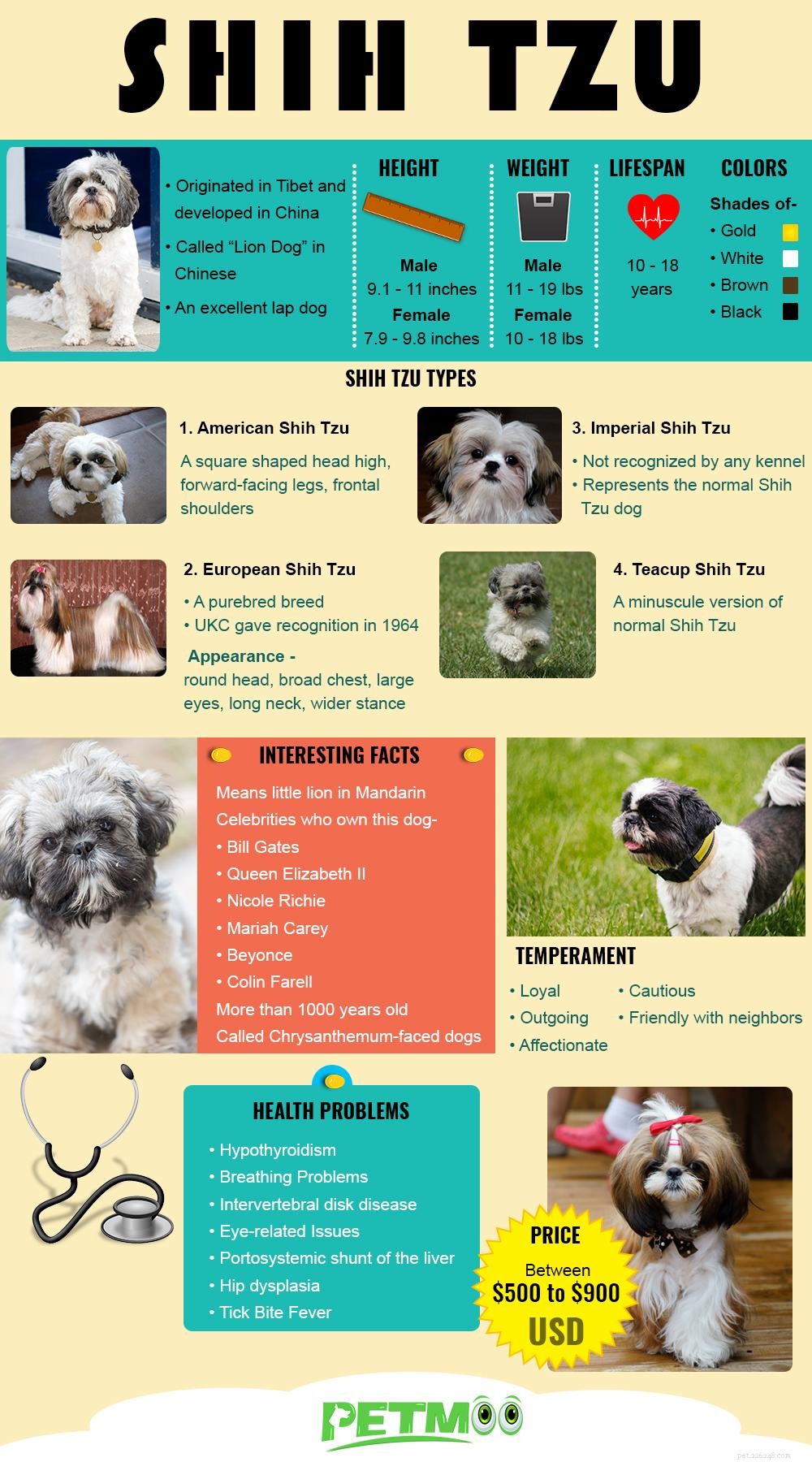 Shih Tzu Essentials: 10 Key Facts About the Beloved Dog Breed