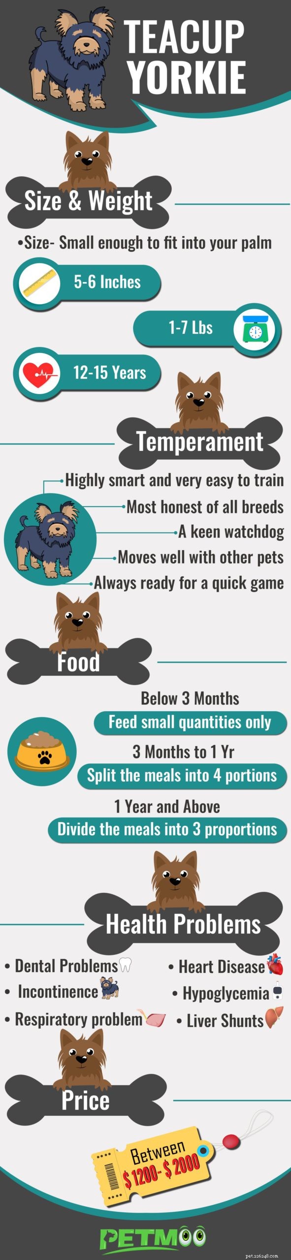 Teacup Yorkie Facts: Size, Weight & Care for the Miniature Yorkshire Terrier
