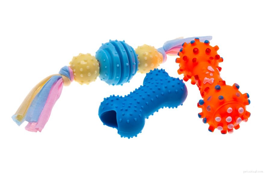 Engage Your Ducks: Best Toys and Activities for Happy, Healthy Flocks